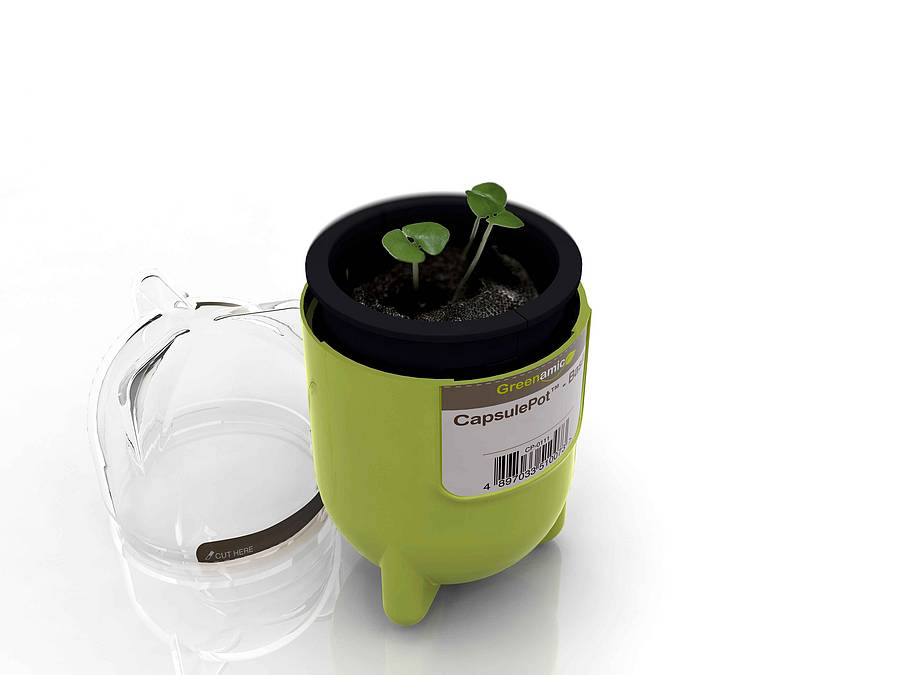 Thyme Capsule Pots By BEEcycle